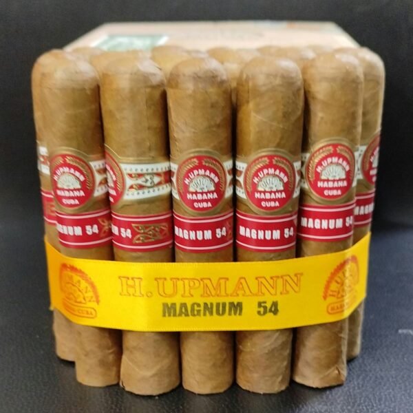 H upmann magnum 54