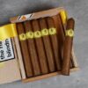 Cigar shop in Ahmedabad