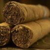 Cigar Shop in Uttar Pradesh