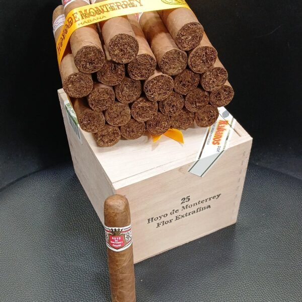 Hoyo de monterrey petit robustos