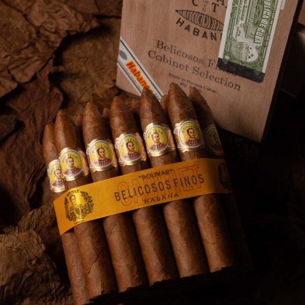 Bolivar Belicosos Cuba Habana Cabinet Selection